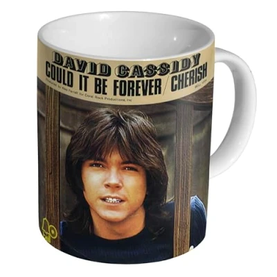 Image of Green Listing LTD David Cassidy Could it be Forever Advertising Ceramic 11oz Tea Coffee Mug/Cup