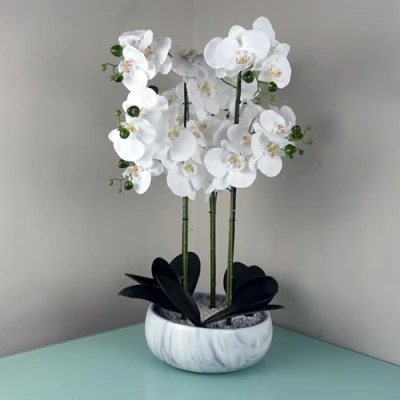 Image of Realistic Artificial Orchid Plants Fully Potted