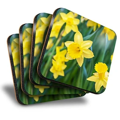 Image of Destination Vinyl ltd Great Coasters (Set of 4) Square Daffodil Flower Field Easter Drink Glossy Coasters/Tabletop Protection for Any Table Type #14350