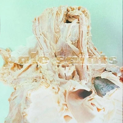 Image of Pale Saints In Ribbons 30th Anniversary Expanded Remasters Sealed 2023 UK 2 LP vinyl set 4AD0407LPX