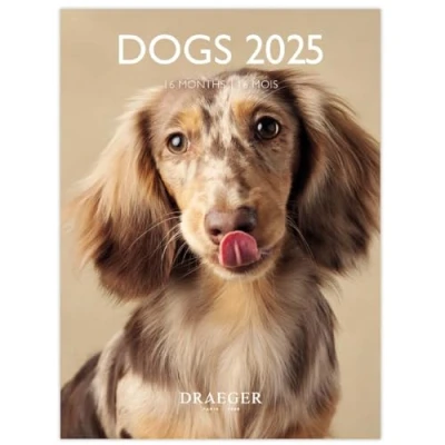 Image of DRAEGER PARIS Small Wall Calendar 14 x 18 cm 2025 September 2024 to December 7 languages 12 photographs available Dogs Organisation of your days