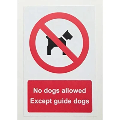 Image of No dogs allowed Except guide sign Face adhesive reverse window sticker 200mm x 150mm