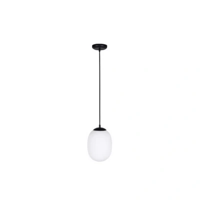 Image of Areteou Globe Ceiling Pendant Light 1x E27 Max 20W White Glass