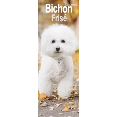 Image of Bichon Frise Slim 2025 Slimline Wall Calendar Dog Breed Calendar: Original Avonside Kalender [Mehrsprachig] [Kalender]
