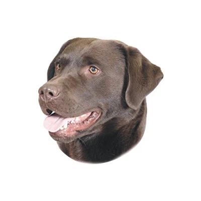 Image of Nobby Sticker Labrador Brown