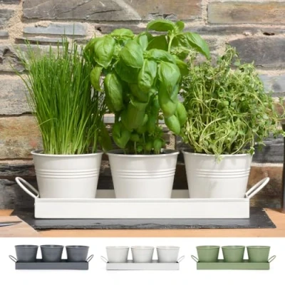 Image of CKB LTD Set of 3 Metal Herb Plant Pots with Drip Tray Traditional Indoor Windowsill Coloured Planter Box for The Kitchen Grow Your Own Herbs Cooking (Chalk White)
