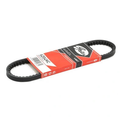Image of 068903137AF, 068903137C, 069145107 V Belt GATES 6204MC 10mm 600mm VOLKSWAGEN: TRANSPORTER 3 Bus, Kasten,