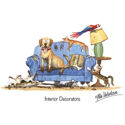 Image of &quot;Interior Decorators&quot; Funny Dog and Cat Pet Greeting Card by Alex Underdown