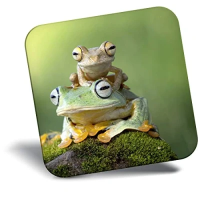 Image of Destination Vinyl ltd Fridge Magnet Cute Green Tree Frog Baby 2764