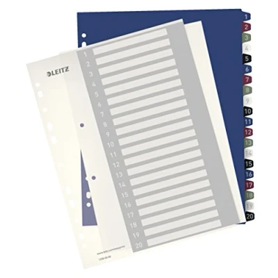 Image of Leitz 1 20 Index, A4, PC Printable, Heavy Duty Plastic, Extra Wide, 12390000 Multi Colour