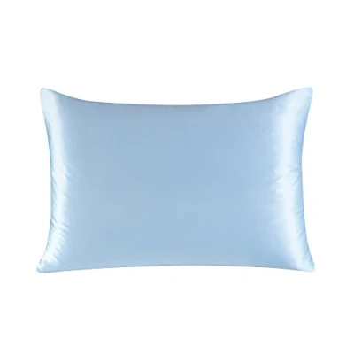 Image of townssilk Both Side 100% 19mm Silk Pillowcase with Hidden Zipper Iceblue 50X70CM