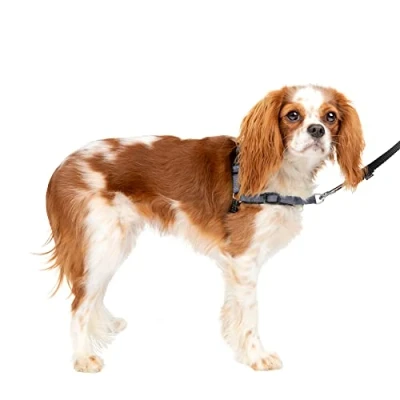 Image of PetSafe® Deluxe Easy Walk® Dog Harness, No Pull Stop Pulling, Great for Walking and Training, Comfortable Padding, Small Dogs Steel/Black,