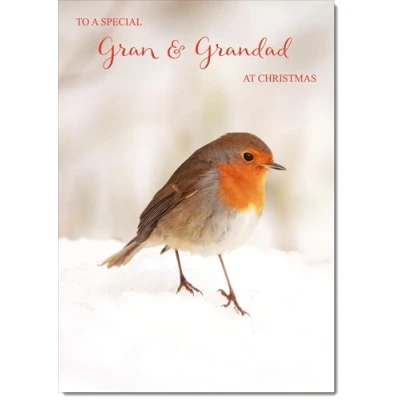 Image of doodlecards Gran and Grandad Christmas Card Robin on Snow Medium Size for &amp; with Plain Envelope
