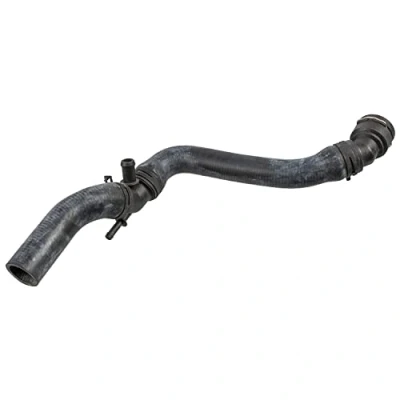 Image of 1J0122101B Radiator Hose FEBI BILSTEIN 170955 Upper VOLKSWAGEN: Golf 4, 4 Variant, AUDI: A3 Hatchback, SEAT: Leon I Hatchback