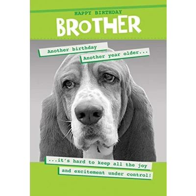 Image of Quitting Hollywood Brother Another Year Older Humour Birthday Card Funny Cards KA3241