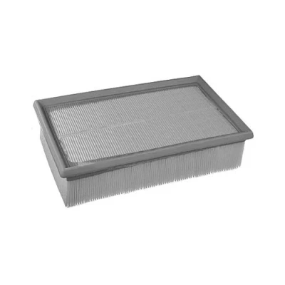 Image of Air Filter Fits: PSA C4, DS4, 3008, 307, 308, 5008