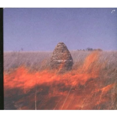 Image of The Maccabees Given To Wild 2011 UK CD album 2787389