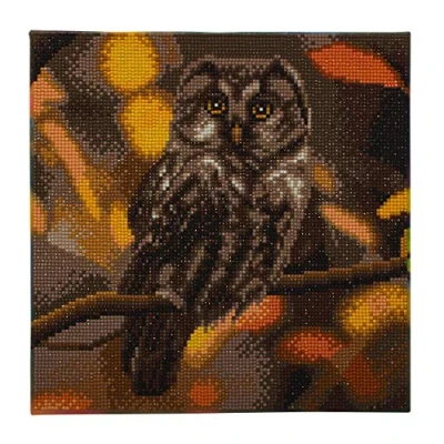Image of Craft Buddy Crystal Art Tawny Owl, 30x30cm Kit, Other Material, Assorted