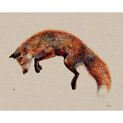 Image of Jane Bannon WDC94806 Canvas, Multi Colour, 40 x 50 cm