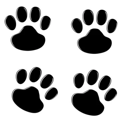 Image of 4PCS Black 3D Chrome Dog Paw Footprint Sticker Decal Auto Car Emblem Decoration (Black)