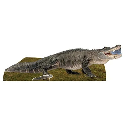 Image of STAR CUTOUTS SC1457 Fresh Water American Alligator Animal Cardboard Cutout Display Perfect for Wildlife, Nature Parties and Safari Theme Events Height 58cm, Solid, Multicolour
