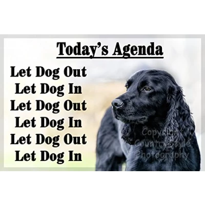 Image of Black Cocker Sprocker Spaniel Funny Fridge Magnet Gift