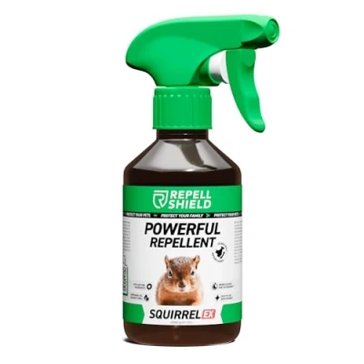 Image of RepellShield Squirrel Repellent Spray &amp; Deterrent 250ml Deterrents for Gardens Loft Bird Feeder Garden