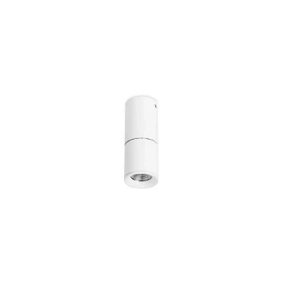 Image of Forlight Lighting Tub Integrated Led 1 Light Round Surface Mounted Downlight Matt White Cool