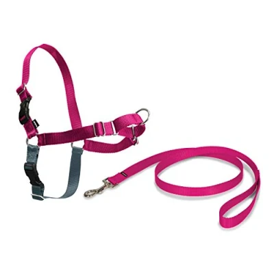 Image of PetSafe Easy Walk Harness, No Pull Walking Harness for Dogs, Adjustable Fit, Includes 1.8m Lead, Medium Raspberry,