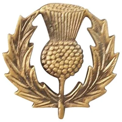 Image of Tartancity Scottish Glengarry Cap Badges/Glengarry Hat Badge Pin Golden/Military Badges