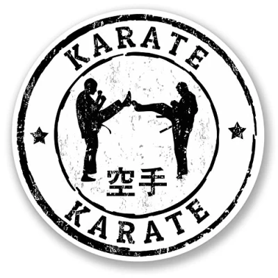Image of 2 x Karate Vinyl Sticker Decal Bike Laptop Car Gift Belt Martial Arts Fun #5520 (10cm 10cm)