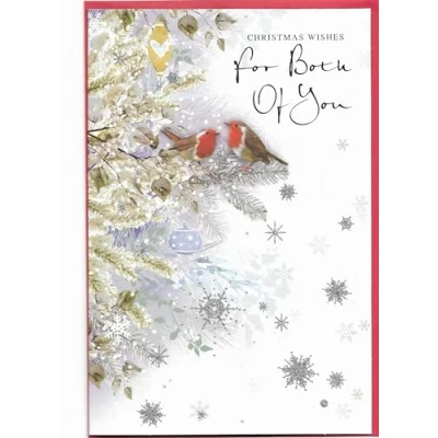 Image of Christmas Card for Both Of You 23 x 15 Cm (9 6 inches) Wishes Robins