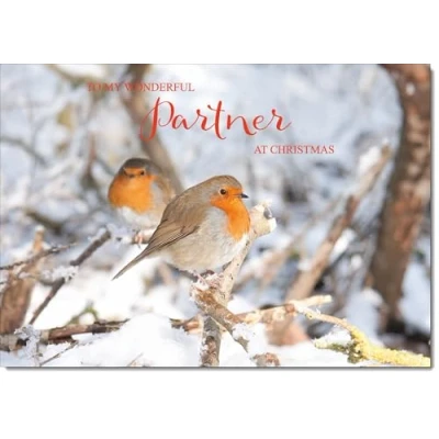 Image of doodlecards Partner Christmas Card Two Robins in Tree Large A4 Size for with Plain Envelope