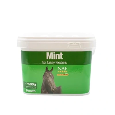 Image of NAF Mint, 500 g (Pack of 1)
