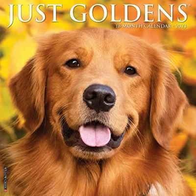 Image of Just Goldens 2023 Wall Calendar