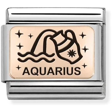 Image of Nomination Rose Gold Aquarius Charm