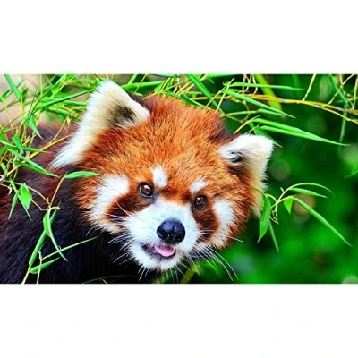 Image of 5D Diamond Painting Kit DIY Red Panda Cross Stitch Kits for Adults Rhinestone Embroidery Arts Craft Home Wall Decor(30X40Cm)