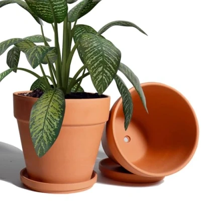 Image of 20CM Clay Pot for Plant with Saucer 2 Pack Large Terra Cotta Drainage Hole, Planters Pot, Terracotta Indoor Outdoor