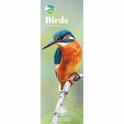 Image of Carousel Worldwide, RSPB Birds 2026 Slim Wall Calendar