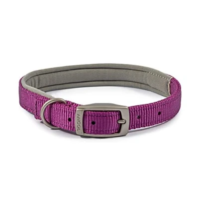 Image of Ancol Padded Viva Collar with Buckle Purple 35 43 cm Size 4