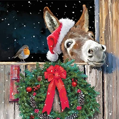Image of 20 Napkins Bird and Christmas Donkey Animals Winter Table Decoration Festival Celebration Craft Decoupage Napkin Technology 33 x cm