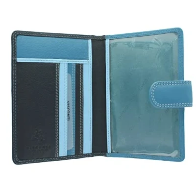 Image of Visconti Rainbow Collection Leather SUMBA Passport Holder RFID Blocking RB75 Blue Multi