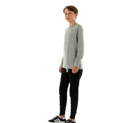 Image of Levi&#039;s Kids l/s Batwing Chesthit Tee Boys, Purple, 2 Years