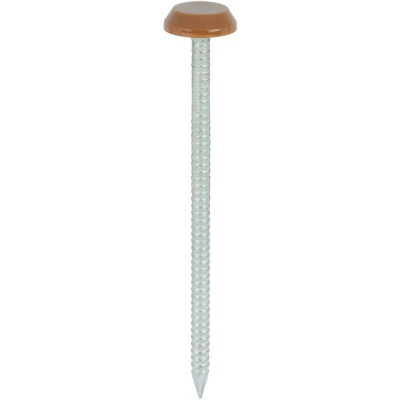 Image of 3x TIMCO Polymer Headed Nails A4 Stainless Steel Clay Brown PN65CB Pack of 100