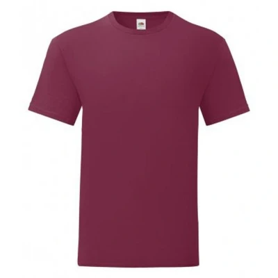 Image of Fruit of the Loom Mens Iconic T Shirt (Pack 5) (Burgundy) Size X Large