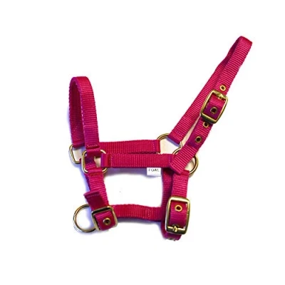 Image of Rhinegold Nylon Foal Headcollar Raspberry