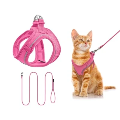 Image of Qianruida Roseo Small Dog Harness for Cats and Dogs Walking, Running