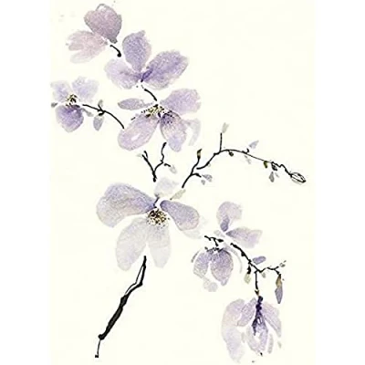Image of Artze Wall Art Canvas, Polyester, Multi Colour, 40 x 50 cm