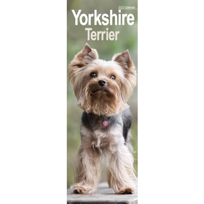 Image of Yorkshire Terrier Slim 2025 Slimline Wall Calendar Dog Breed Calendar: Original Avonside Kalender [Mehrsprachig] [Kalender]