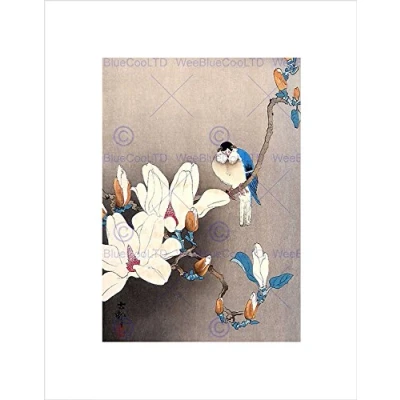 Image of Wee Blue Coo Nature Japan Ohara Koson Bird Flower Picture Wall Art Print